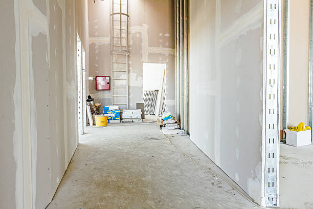 Best Fire-Damaged Drywall Repair  in Homeland, CA